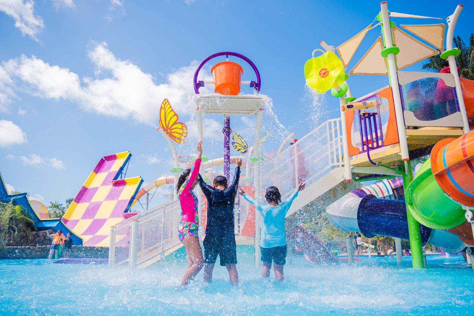 Créditos da foto: Divulgação