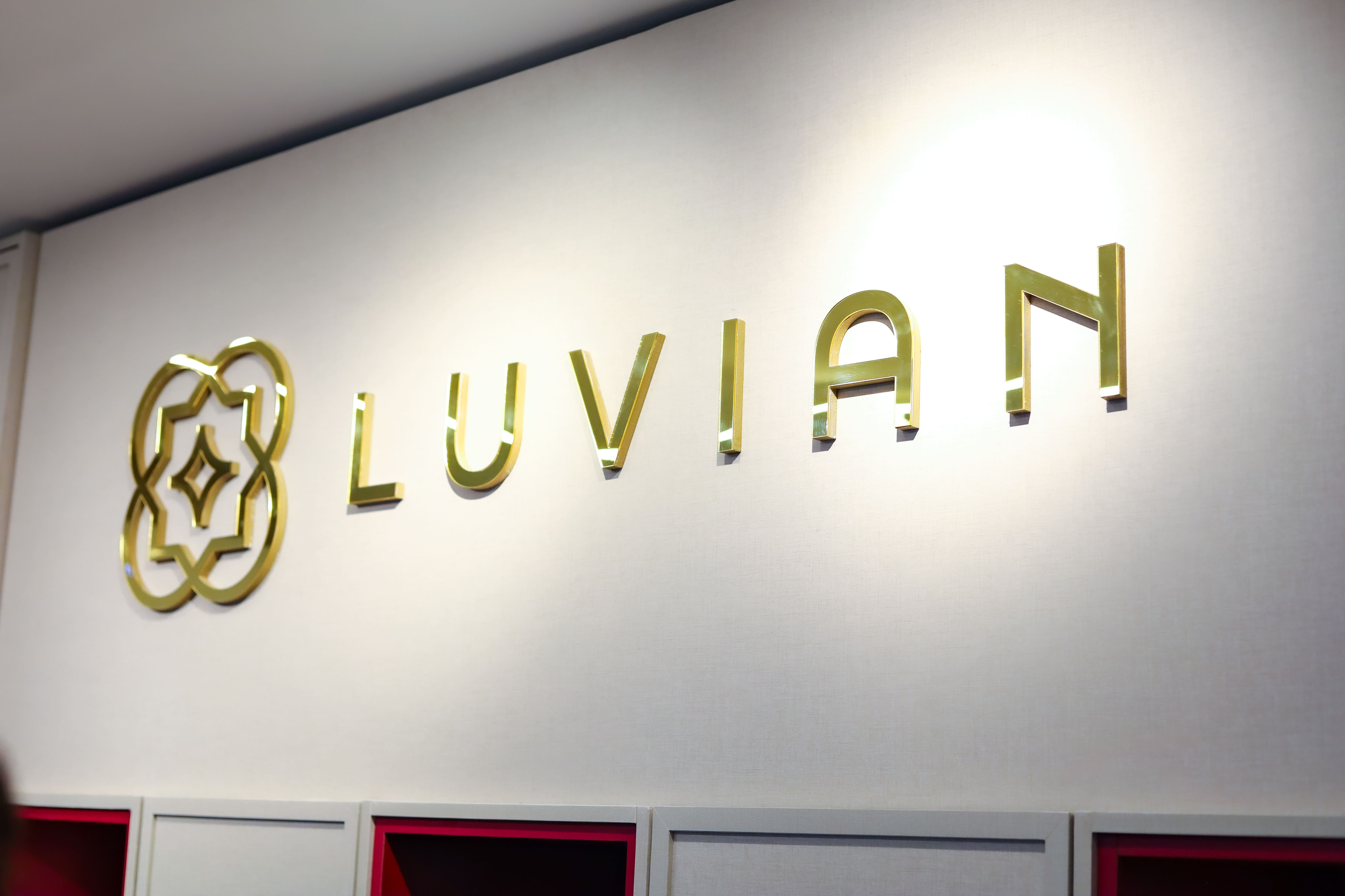 Créditos da Foto: Divulgação